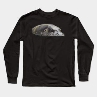 Pygmy Hippo Long Sleeve T-Shirt